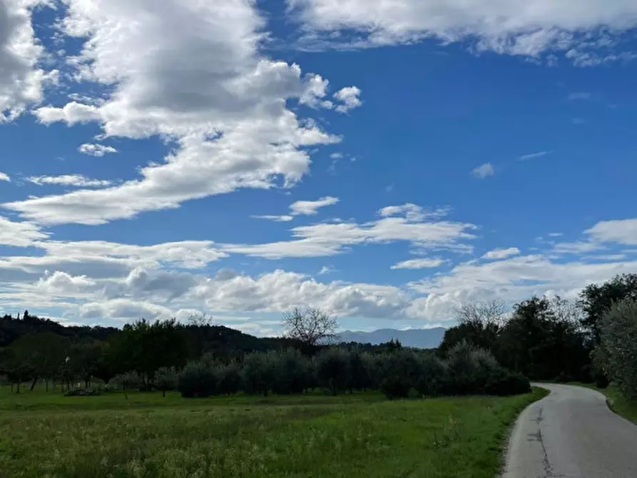 Immagine 18 di Rustico / casale in vendita  a Terranuova Bracciolini
