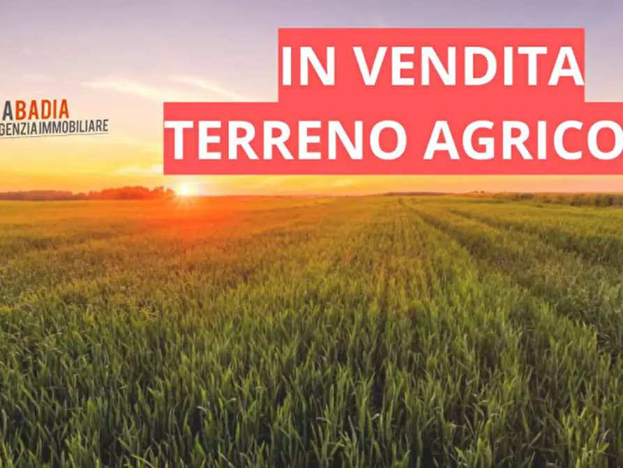 Immagine 2 di Terreno in vendita  in Via Pioppa a Lendinara