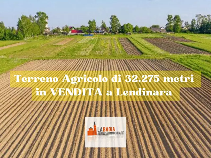 Immagine 3 di Terreno in vendita  in Via Pioppa a Lendinara