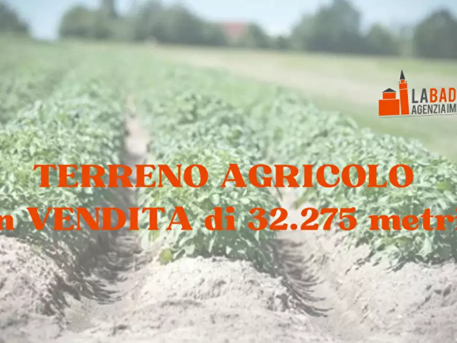 Immagine 4 di Terreno in vendita  in Via Pioppa a Lendinara