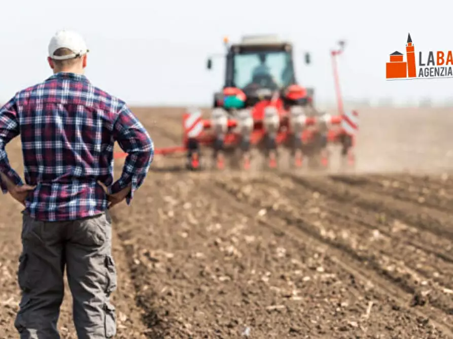 Immagine 5 di Terreno in vendita  in Via Pioppa a Lendinara