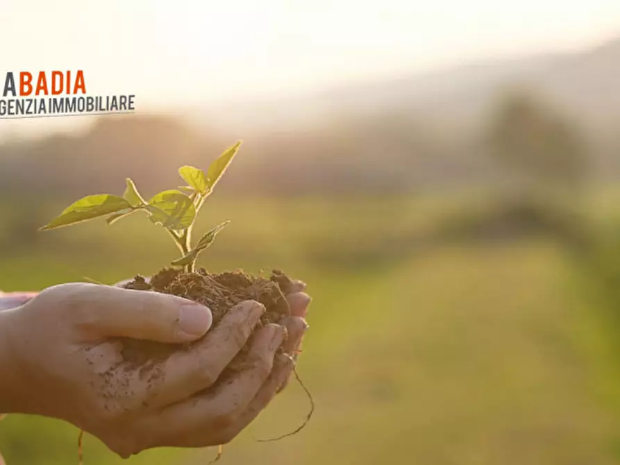 Immagine 6 di Terreno in vendita  in Via Pioppa a Lendinara