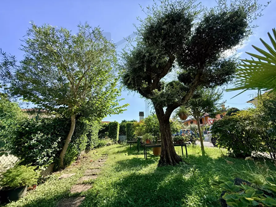 Immagine 28 di Casa indipendente in vendita  in Via Ippolito Nievo a Torreglia