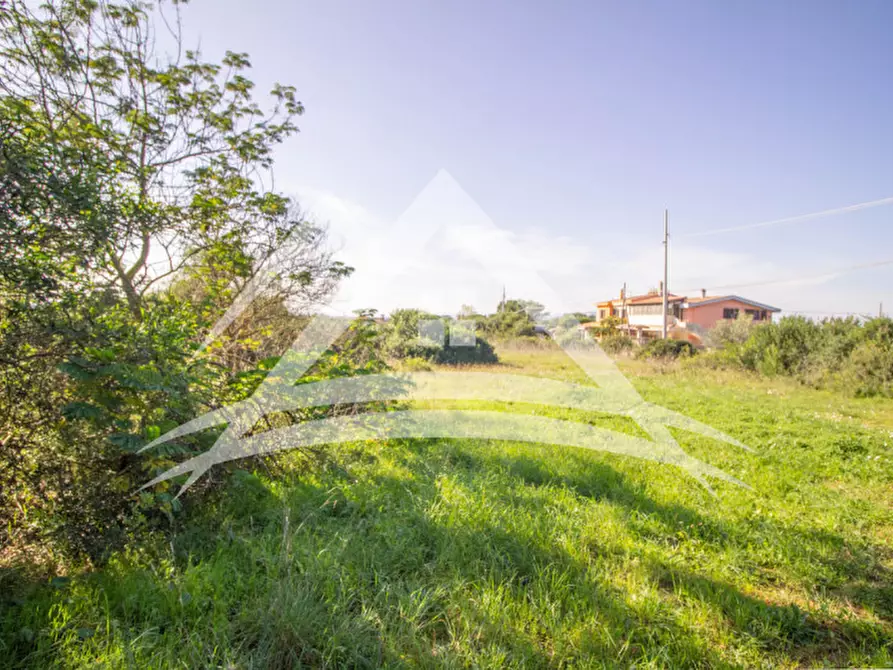 Immagine 3 di Terreno in vendita  in Li Lioni a Porto Torres