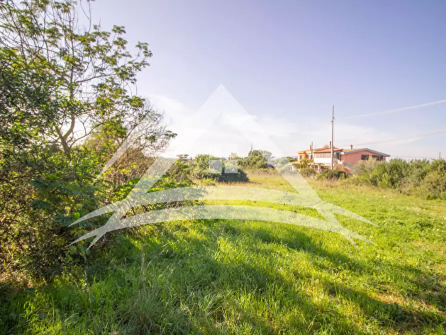 Immagine 4 di Terreno in vendita  in Li Lioni a Porto Torres