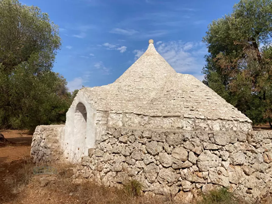 Immagine 2 di Rustico / casale in vendita  in contrada Pane e Passole a Francavilla Fontana