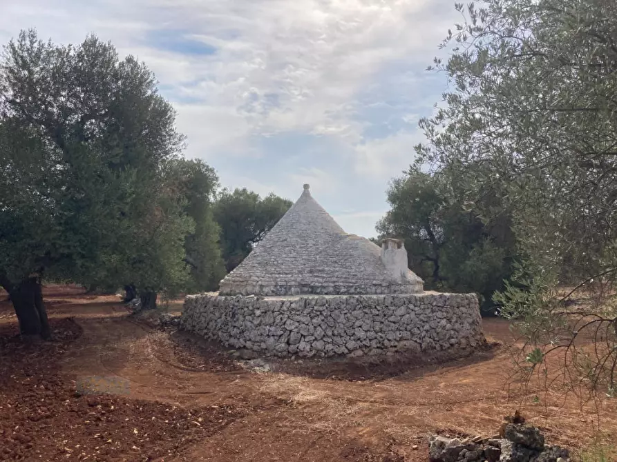 Immagine 3 di Rustico / casale in vendita  in contrada Pane e Passole a Francavilla Fontana