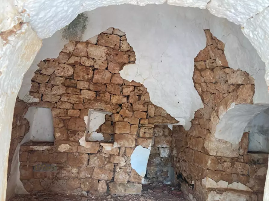 Immagine 4 di Rustico / casale in vendita  in contrada Pane e Passole a Francavilla Fontana