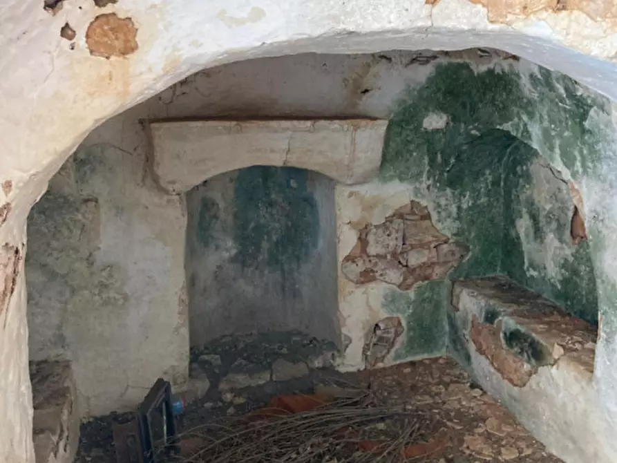 Immagine 5 di Rustico / casale in vendita  in contrada Pane e Passole a Francavilla Fontana