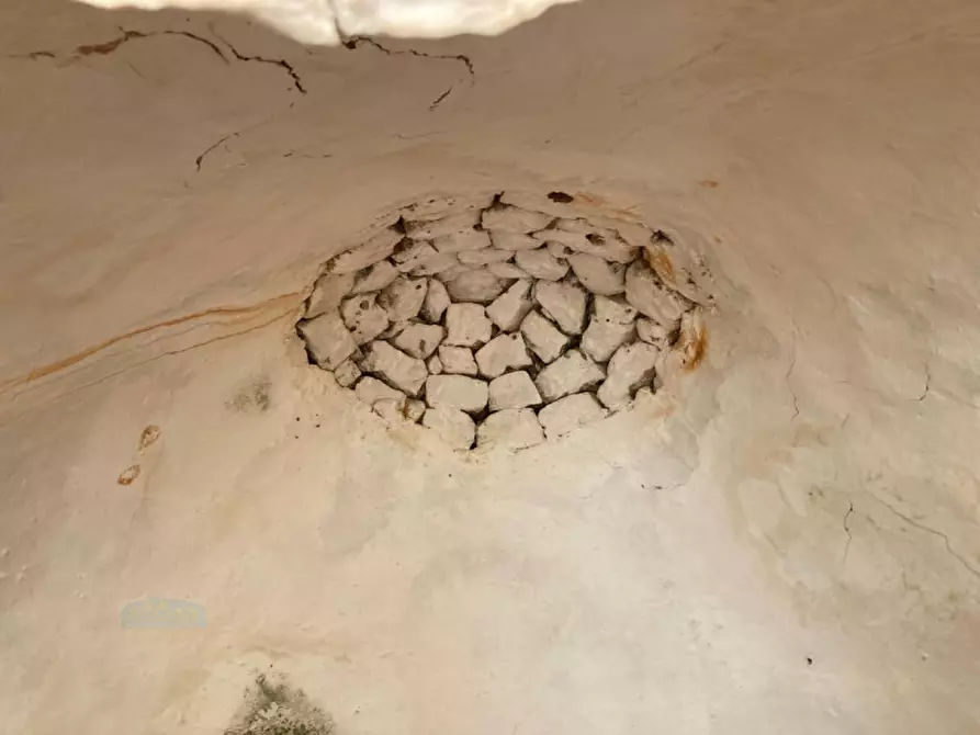 Immagine 7 di Rustico / casale in vendita  in contrada Pane e Passole a Francavilla Fontana