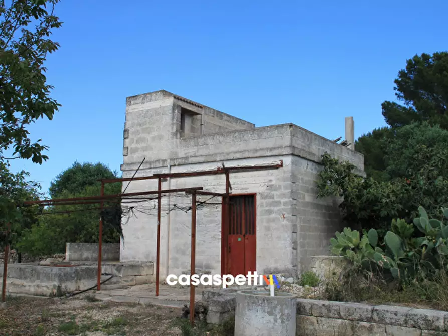 Immagine 1 di Rustico / casale in vendita  in Agro di Lizzano a Lizzano