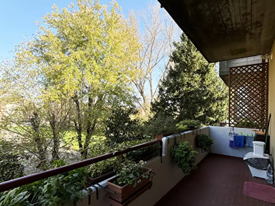 Immagine 30 di Appartamento in vendita  in Via Carlo Pisacane, 4 a Sorbolo Mezzani