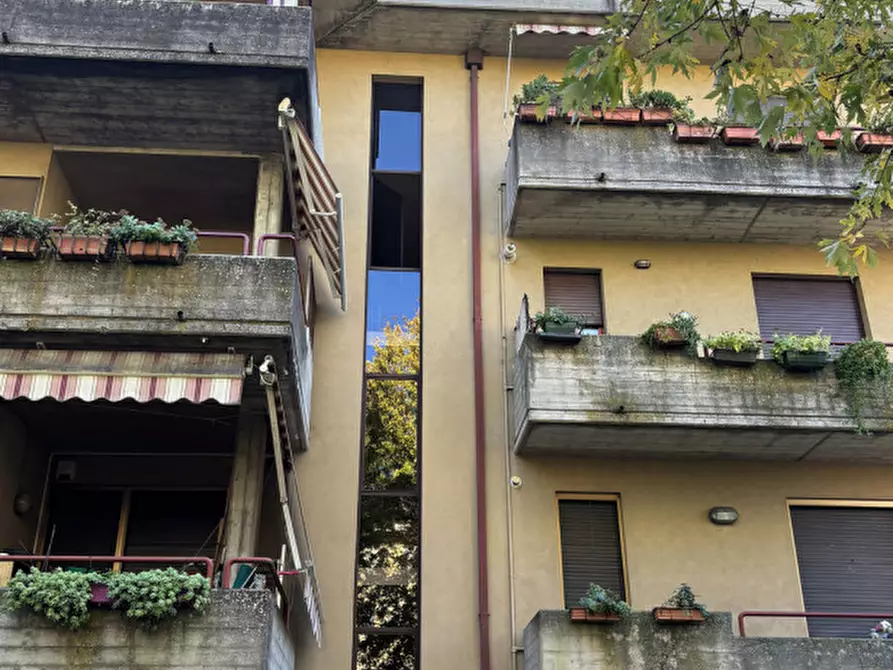 Immagine 35 di Appartamento in vendita  in Via Carlo Pisacane, 4 a Sorbolo Mezzani