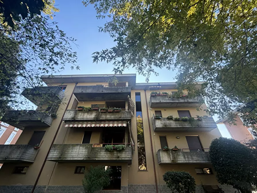 Immagine 38 di Appartamento in vendita  in Via Carlo Pisacane, 4 a Sorbolo Mezzani