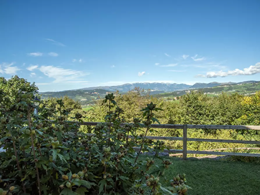Immagine 10 di Casa bifamiliare in vendita  in Via Don Albrigi a Cerro Veronese
