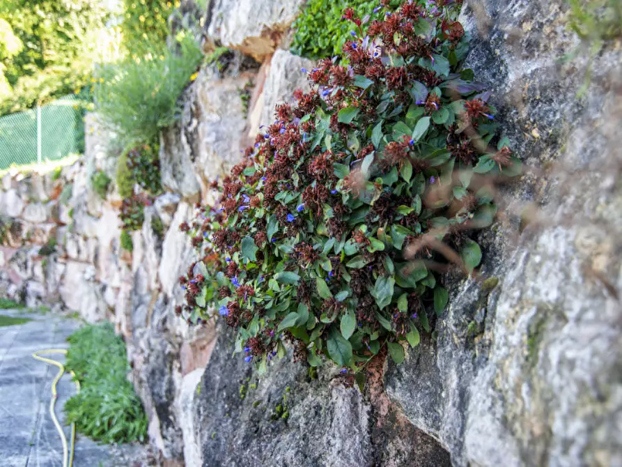 Immagine 26 di Casa bifamiliare in vendita  in Via Don Albrigi a Cerro Veronese