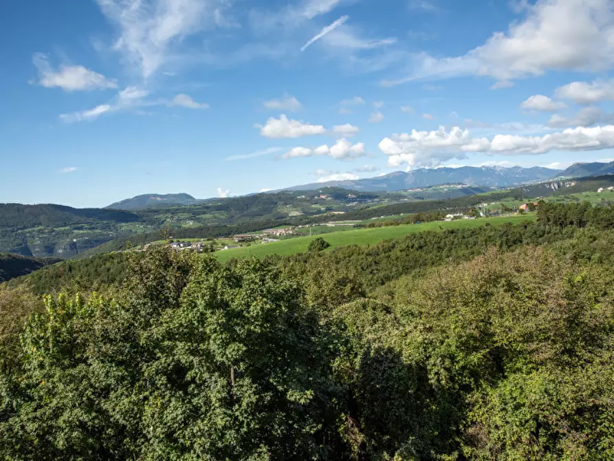 Immagine 29 di Casa bifamiliare in vendita  in Via Don Albrigi a Cerro Veronese