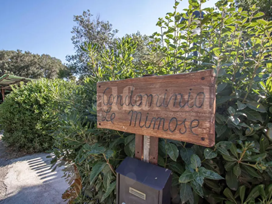 Immagine 14 di Appartamento in vendita  in Poggio del Barbiere a Castiglione Della Pescaia