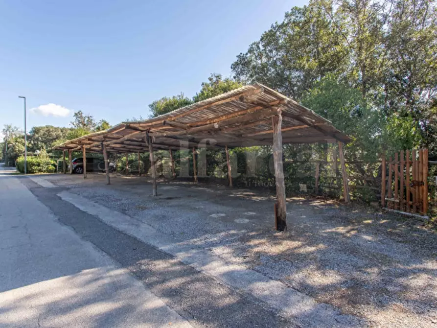 Immagine 15 di Appartamento in vendita  in Poggio del Barbiere a Castiglione Della Pescaia