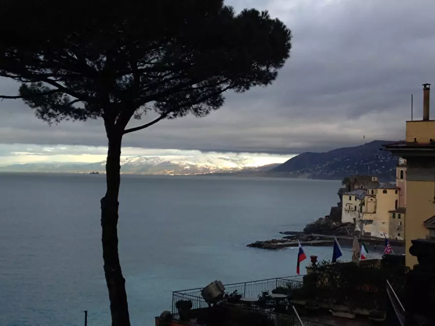 Immagine 1 di Appartamento in vendita  in Via Figari a Camogli