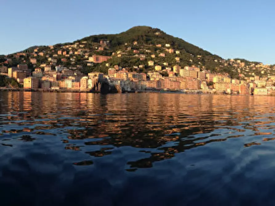 Immagine 3 di Appartamento in vendita  in Via Figari a Camogli