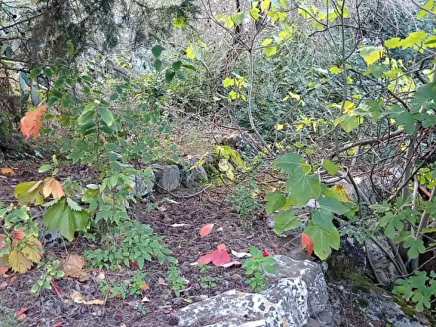 Immagine 12 di Casa indipendente in vendita  a Modica
