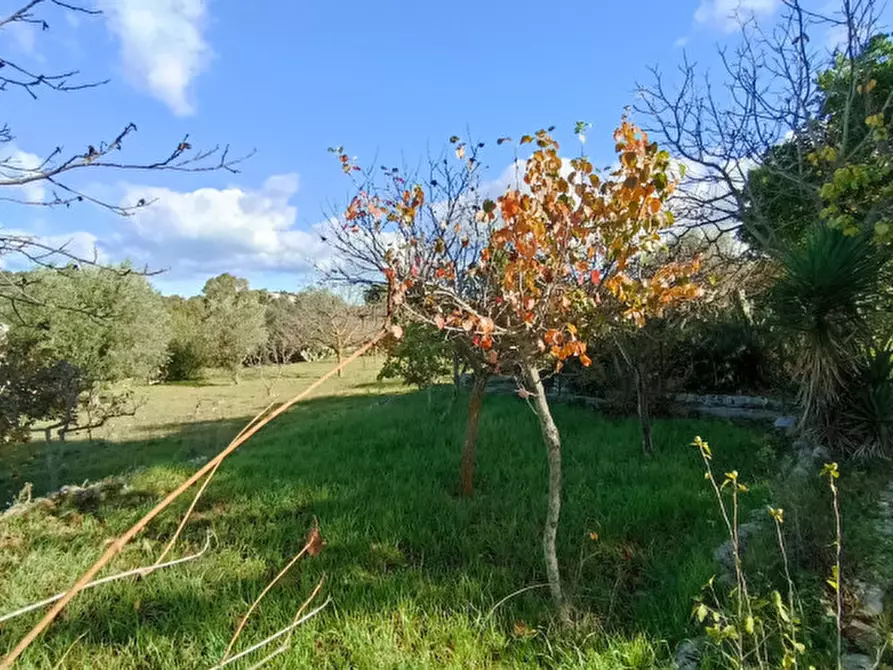 Immagine 20 di Rustico / casale in vendita  in SBYC a Fasano