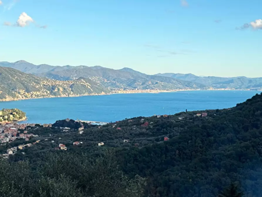 Immagine 1 di Rustico / casale in vendita  in Via Dolcina a Santa Margherita Ligure