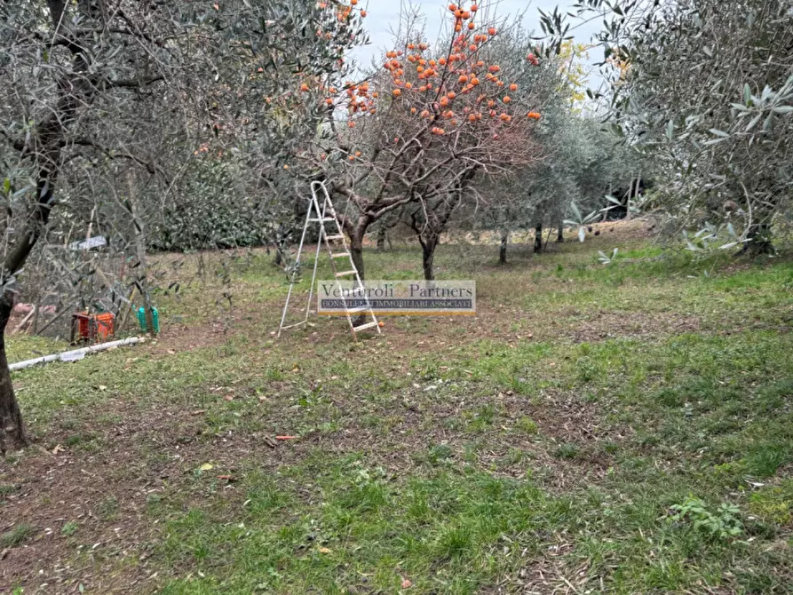 Immagine 6 di Terreno in vendita  in via merler a Puegnago Sul Garda