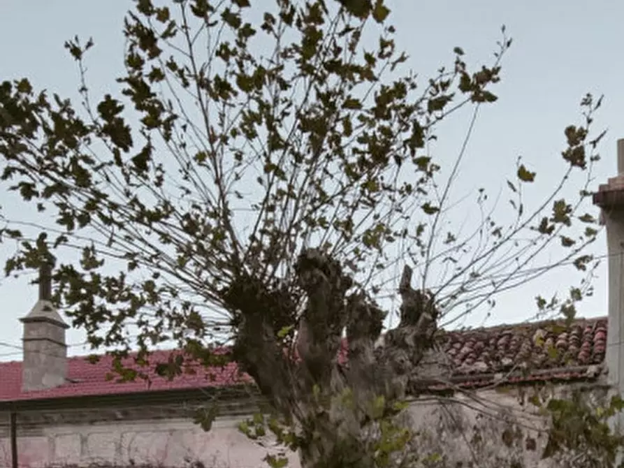 Immagine 2 di Rustico / casale in vendita  in Via Popolo a Sicignano Degli Alburni