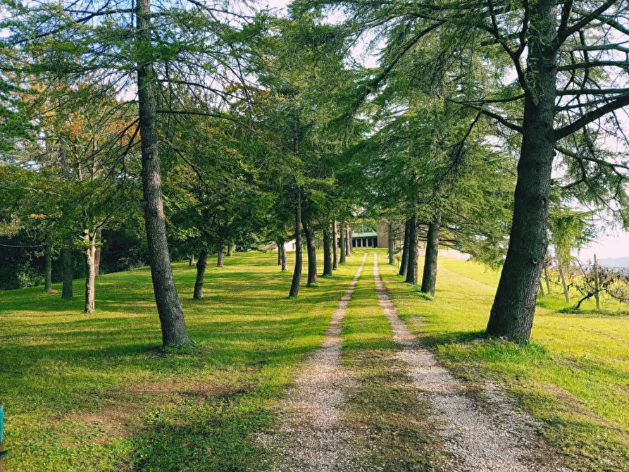 Immagine 1 di Villa in vendita  in Via Castello di Carpineta a Cesena