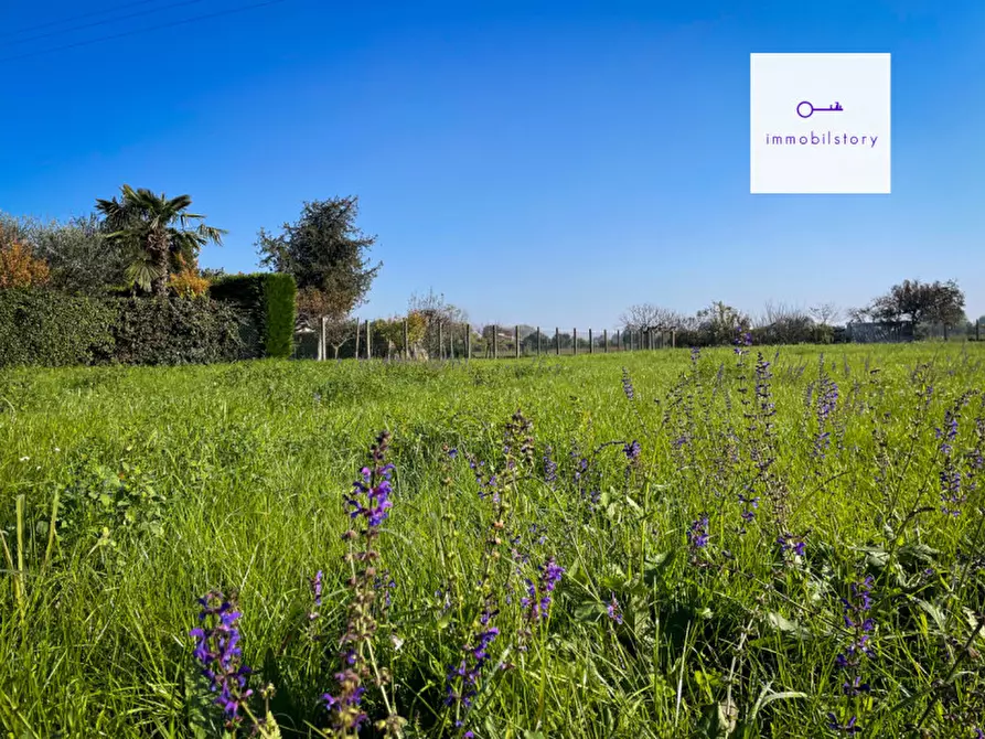 Immagine 3 di Terreno in vendita  in via tresto sud a Ospedaletto Euganeo