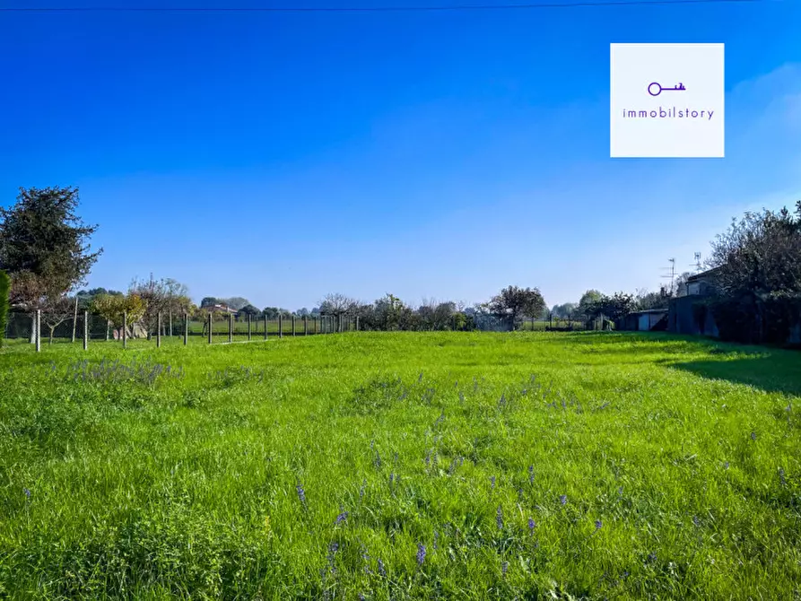 Immagine 4 di Terreno in vendita  in via tresto sud a Ospedaletto Euganeo