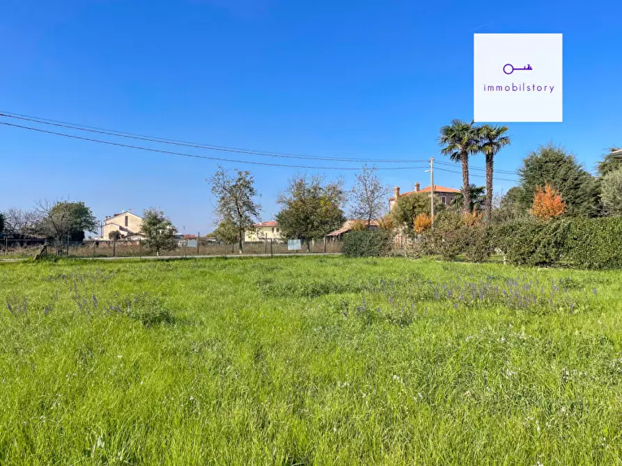 Immagine 5 di Terreno in vendita  in via tresto sud a Ospedaletto Euganeo