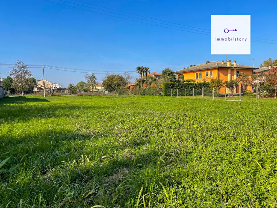 Immagine 6 di Terreno in vendita  in via tresto sud a Ospedaletto Euganeo