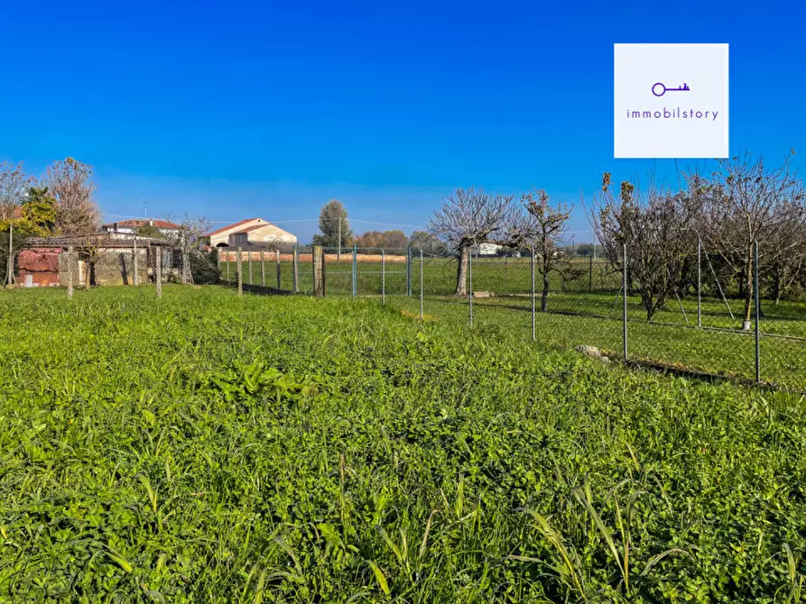 Immagine 7 di Terreno in vendita  in via tresto sud a Ospedaletto Euganeo