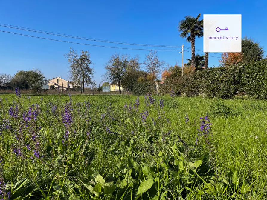 Immagine 9 di Terreno in vendita  in via tresto sud a Ospedaletto Euganeo