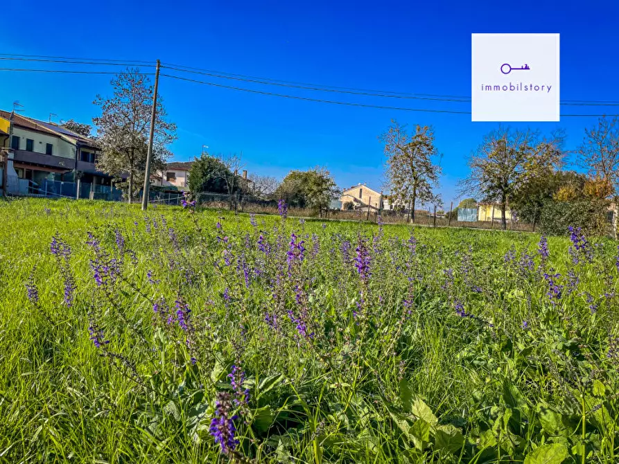 Immagine 10 di Terreno in vendita  in via tresto sud a Ospedaletto Euganeo