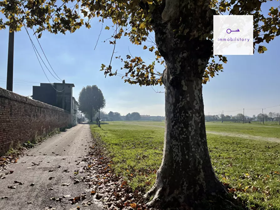 Immagine 14 di Terreno in vendita  in via tresto sud a Ospedaletto Euganeo