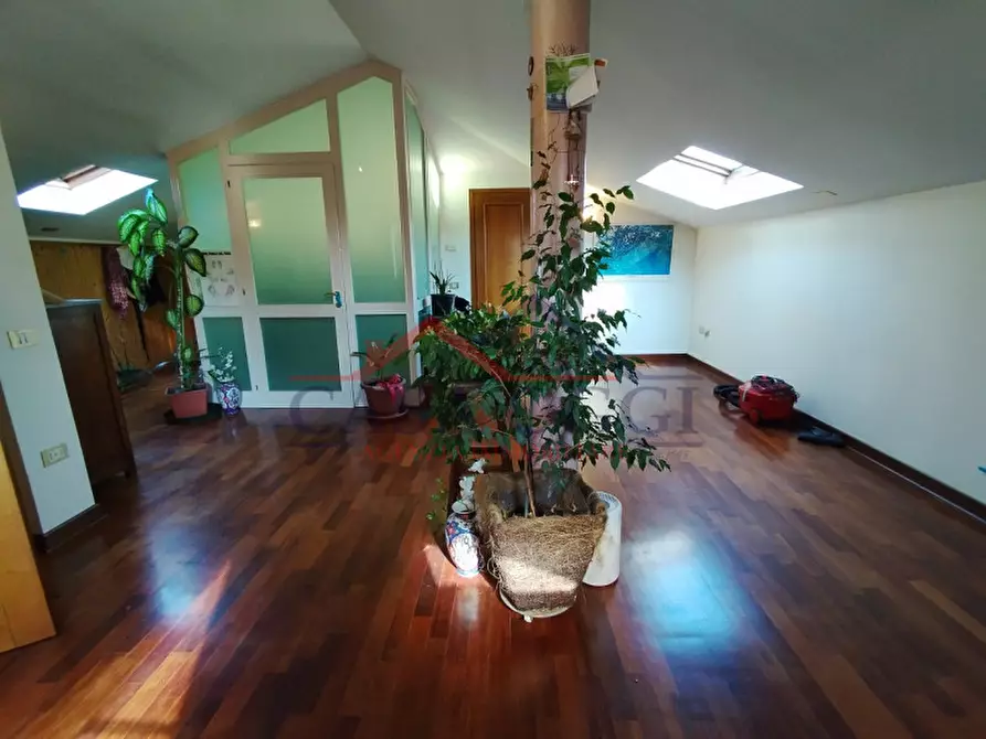 Immagine 23 di Villa in vendita  a Padova