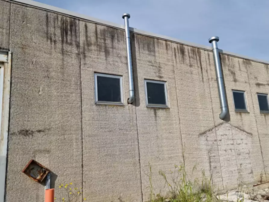 Immagine 30 di Capannone industriale in vendita  a Montepulciano