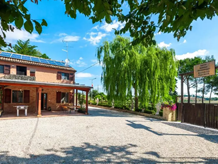 Immagine 2 di Villetta a schiera in vendita  a Ostra Vetere