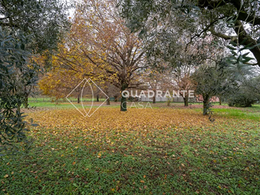 Immagine 32 di Villa in vendita  in Via Caposeda a Montegrotto Terme