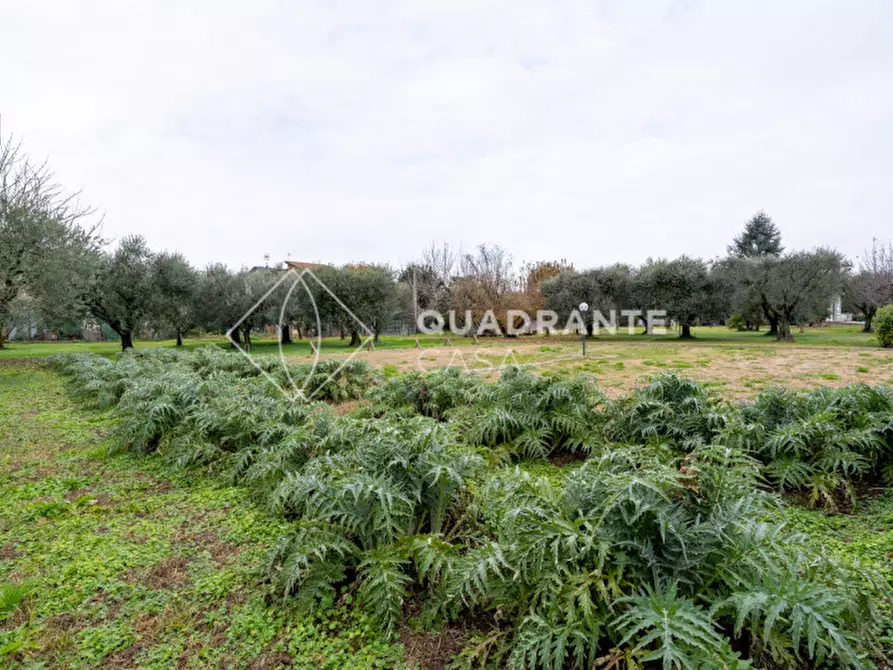 Immagine 35 di Villa in vendita  in Via Caposeda a Montegrotto Terme