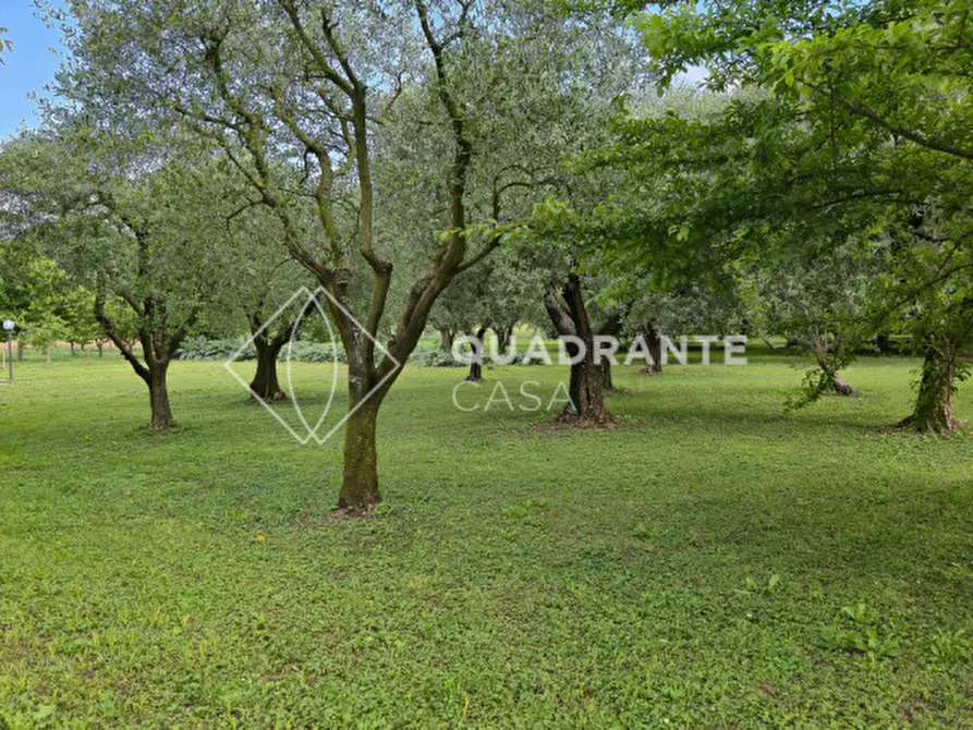 Immagine 36 di Villa in vendita  in Via Caposeda a Montegrotto Terme