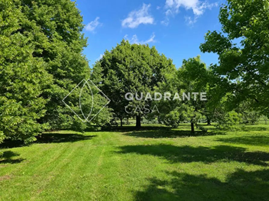 Immagine 38 di Villa in vendita  in Via Caposeda a Montegrotto Terme