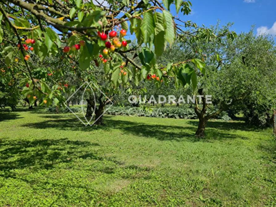 Immagine 39 di Villa in vendita  in Via Caposeda a Montegrotto Terme