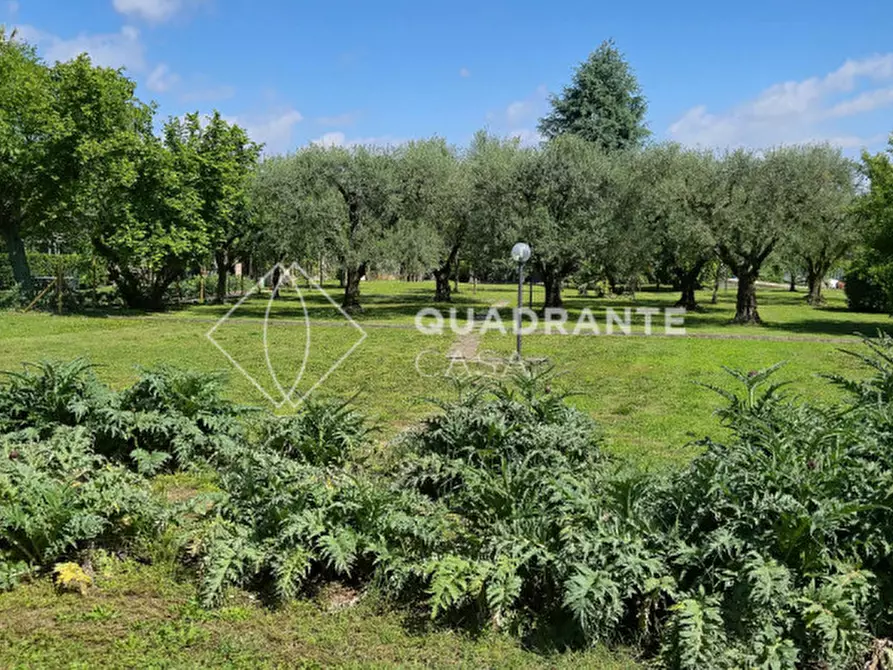 Immagine 40 di Villa in vendita  in Via Caposeda a Montegrotto Terme