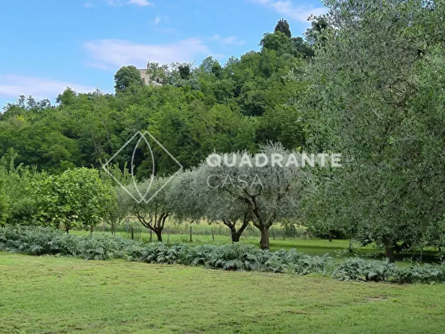 Immagine 41 di Villa in vendita  in Via Caposeda a Montegrotto Terme