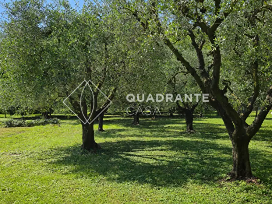 Immagine 47 di Villa in vendita  in Via Caposeda a Montegrotto Terme